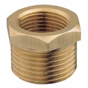 Aquafax Brass Hex Bush