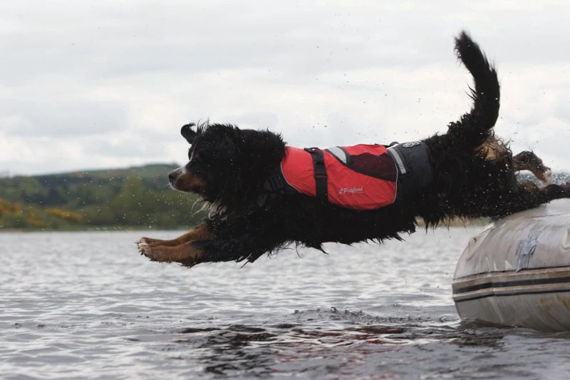 Crewsaver Petfloat - Pet Lifejacket 2370 - Image 3