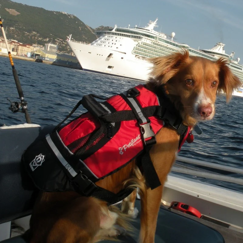 Crewsaver Petfloat - Pet Lifejacket 2370 - Image 4