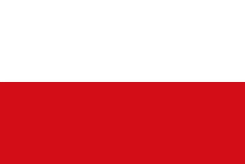 International Country Courtesy Flags 45x30cm - Image 10