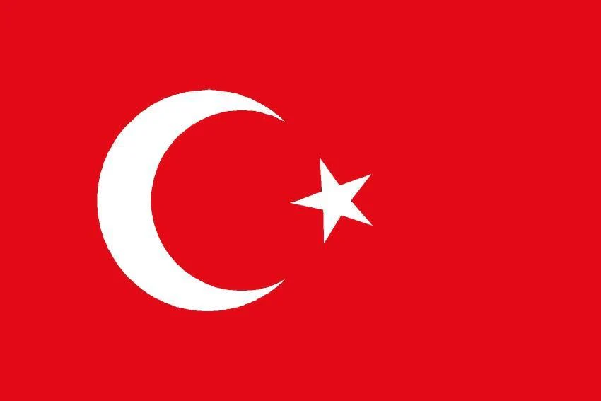 International Country Courtesy Flags 45x30cm - Image 18