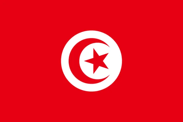 International Country Courtesy Flags 45x30cm - Image 28
