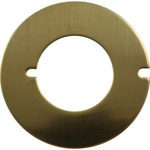 Jabsco 4156-0000 pump wear plate